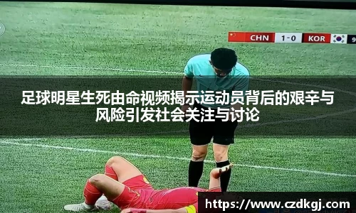 bsports官网入口